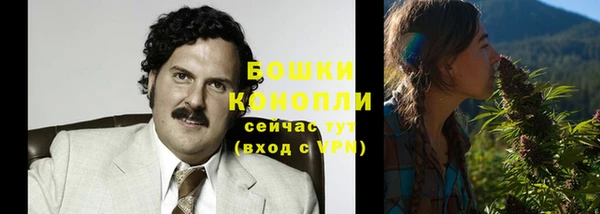 прущие грибы Арсеньев