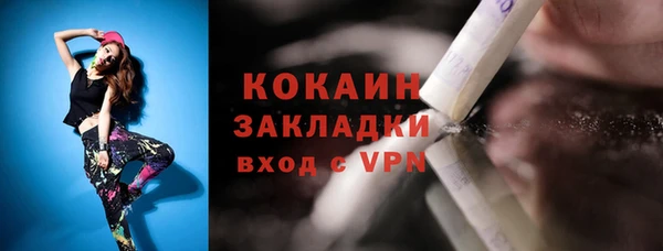 прущие грибы Арсеньев