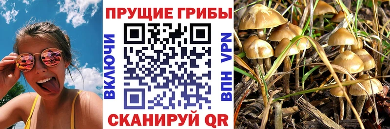 мега как зайти  купить наркоту  Сальск  Галлюциногенные грибы мухоморы 