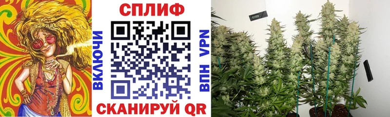 Конопля White Widow  Сальск 